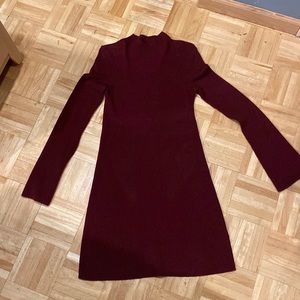 Express Maroon Sweater Dress